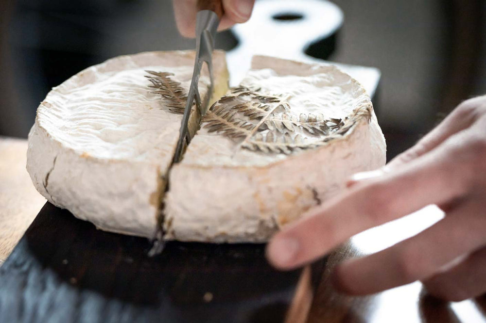 Käse und Gin Tasting München (derzeit pausiert)