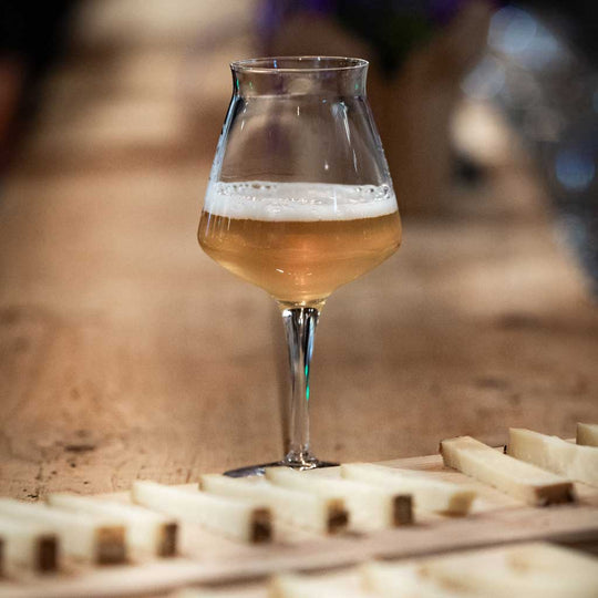 Volles Tasting-Bierglas vor schoen geschnittenem Hartkaese