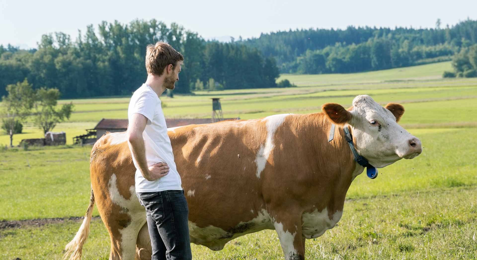 Johannes steht auf der Weide und streichelt eine Kuh.