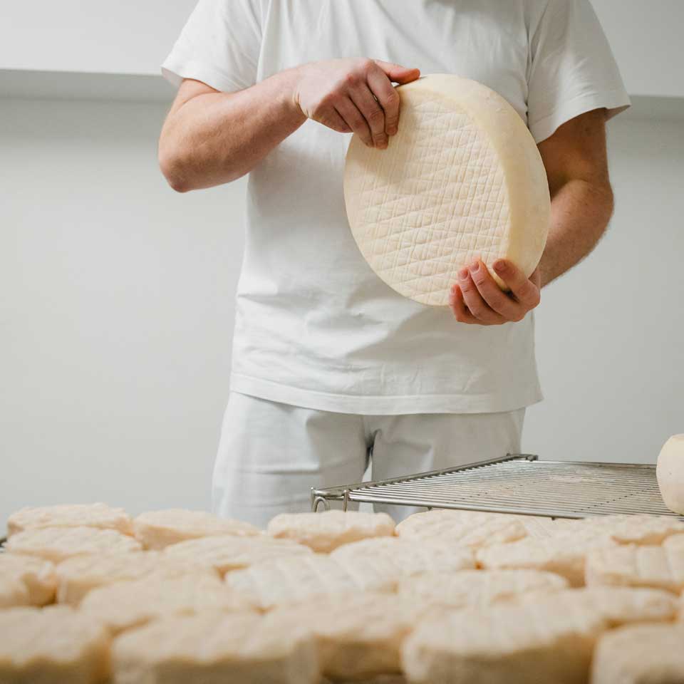 Käse-Abo - perfektes Geschenk