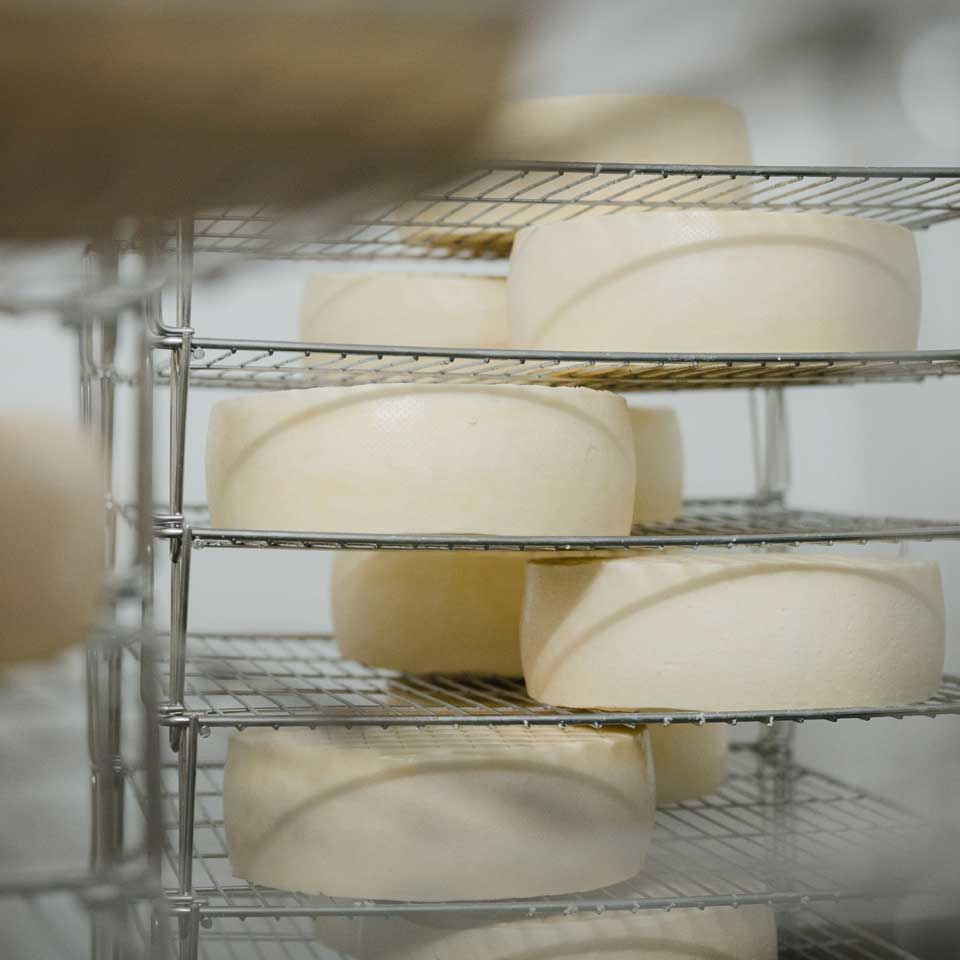 Versandpause bis Sept.! Großes Käse-Probierpaket aus München - 6 besondere Käse