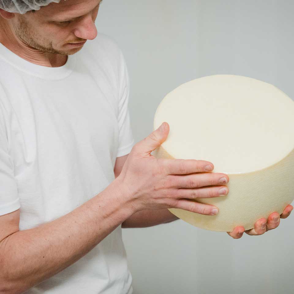 Versandpause bis Sept.! Großes Käse-Probierpaket aus München - 6 besondere Käse