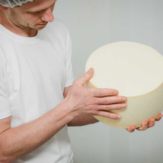 Versandpause bis Sept.! Großes Käse-Probierpaket aus München - 6 besondere Käse