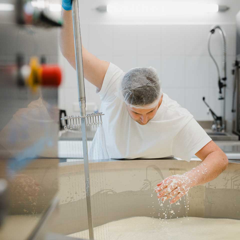 Versandpause bis Sept.! Großes Käse-Probierpaket aus München - 6 besondere Käse