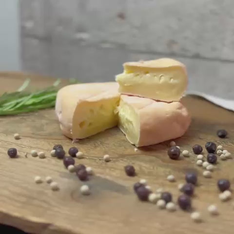 Versandpause bis Sept.! Großes Käse-Probierpaket aus München - 6 besondere Käse